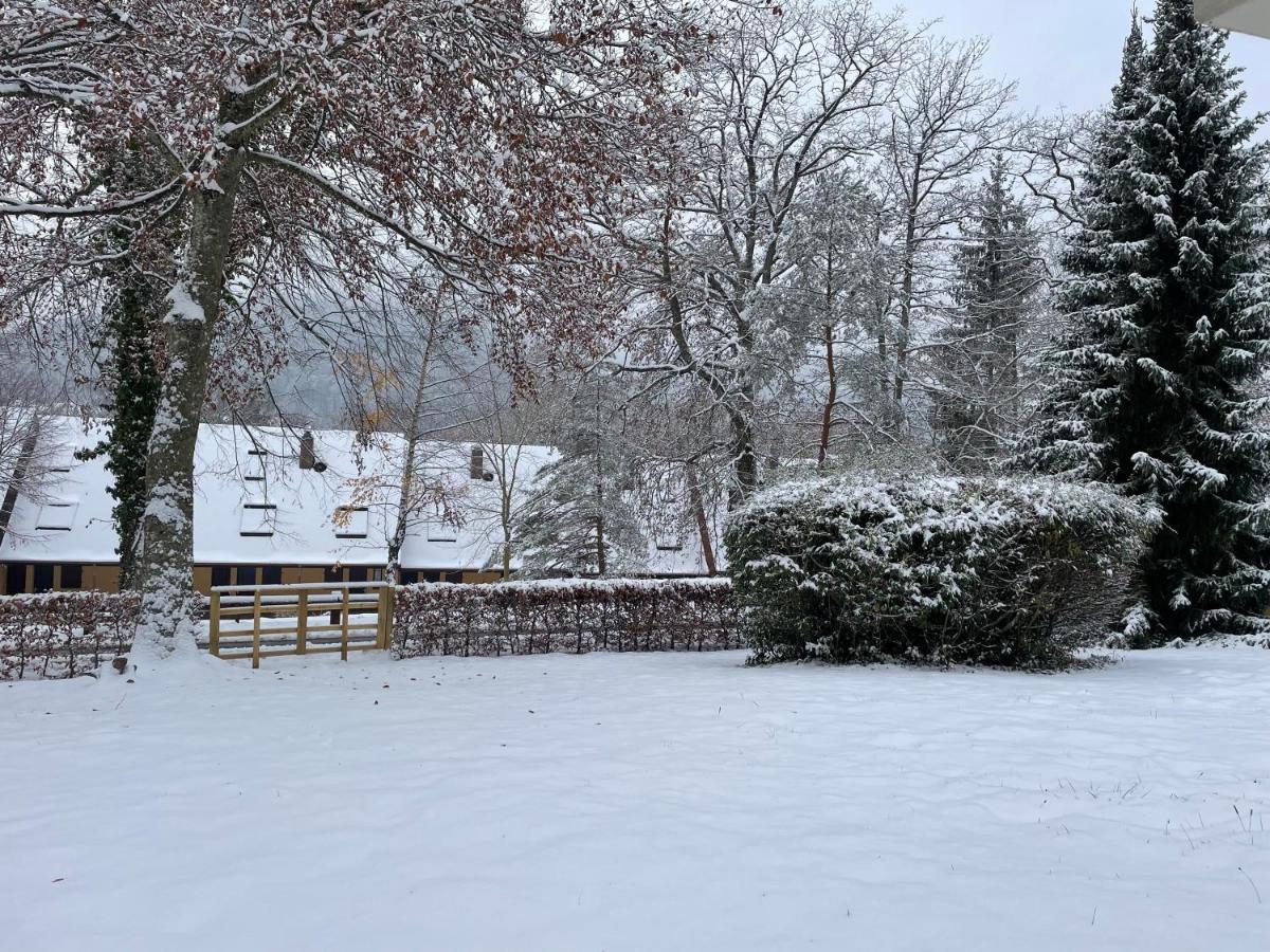 Charmant Studio En Pleine Nature Klingenthal Экстерьер фото